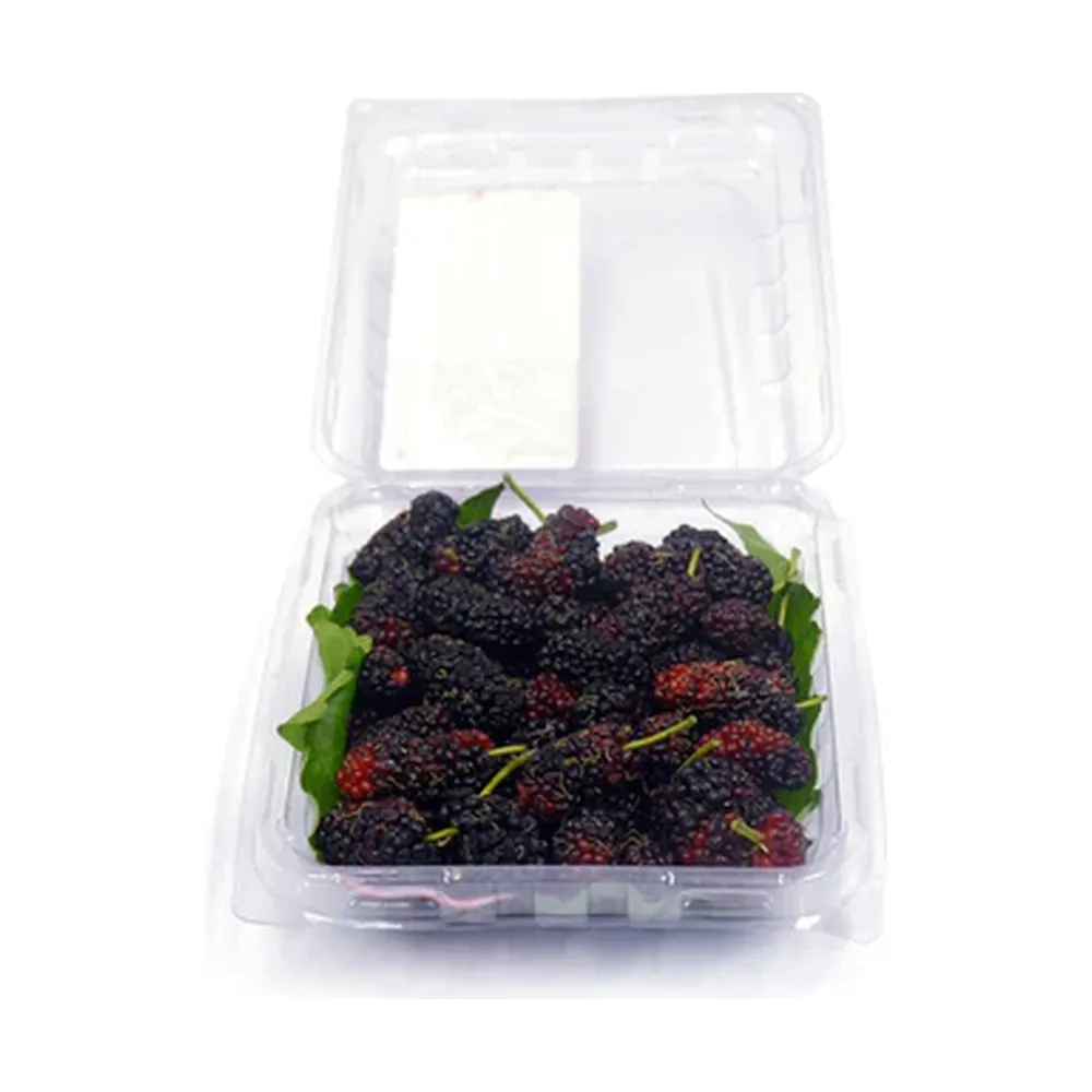 TRIKAYA FRESH MULBERRY -200gm