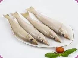Lady Fish / Kane / Silver Whiting - 500 Gms