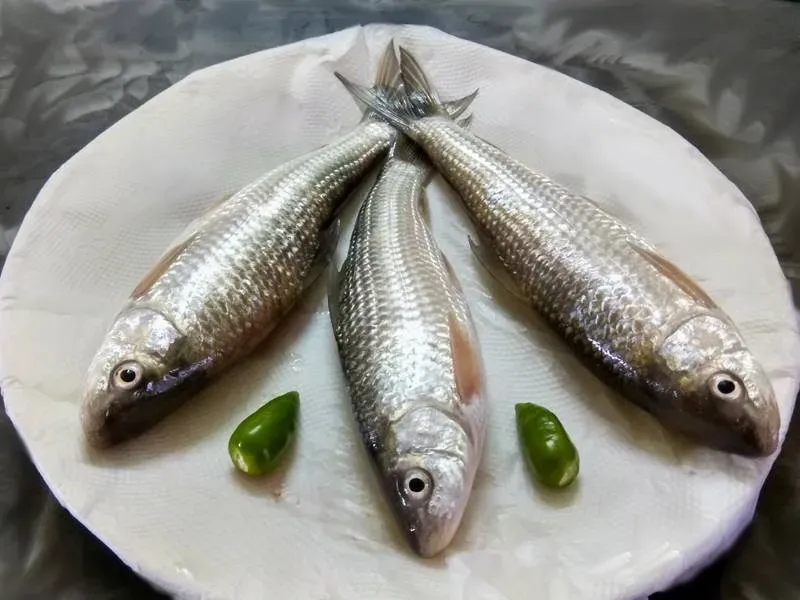 Bata (Maach) Fish - 500 Gms