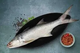 Indian Salmon Fish /Gurjali - 1 Kg